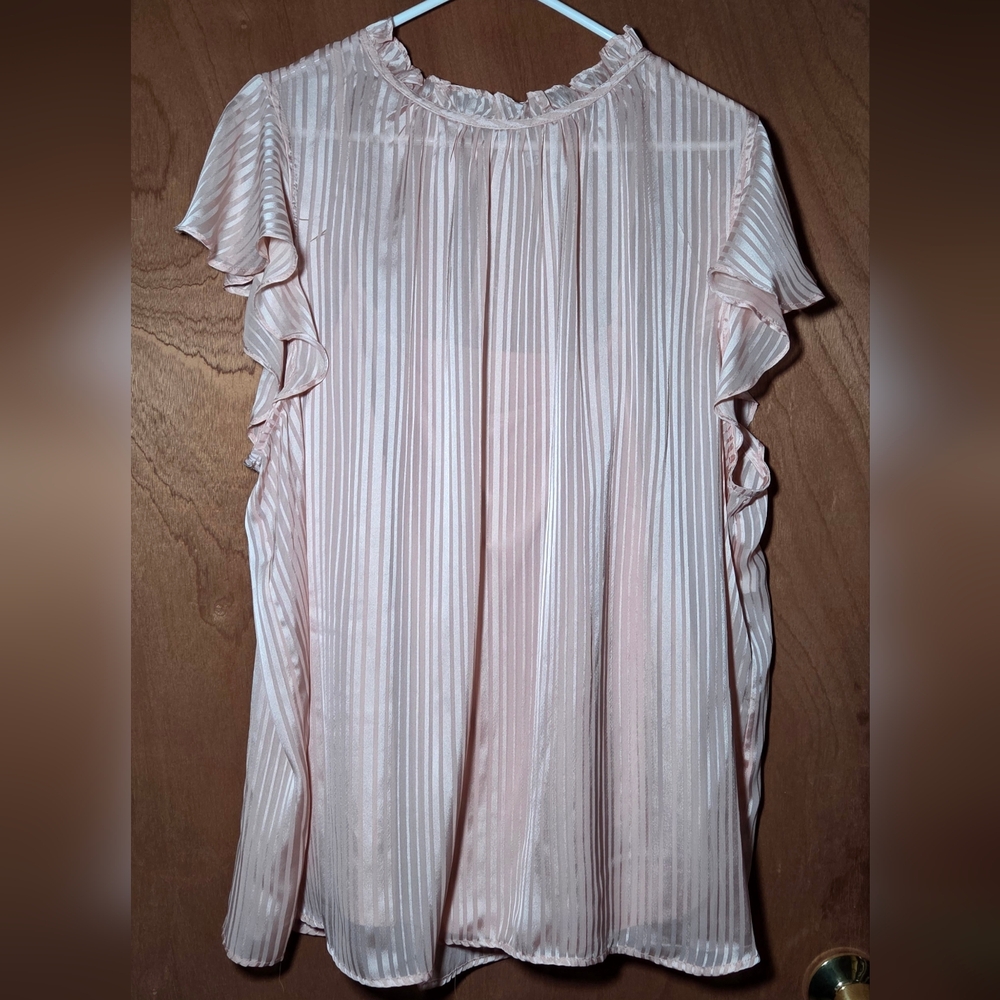 Elegant Pink Ruffled Women's Top 2x